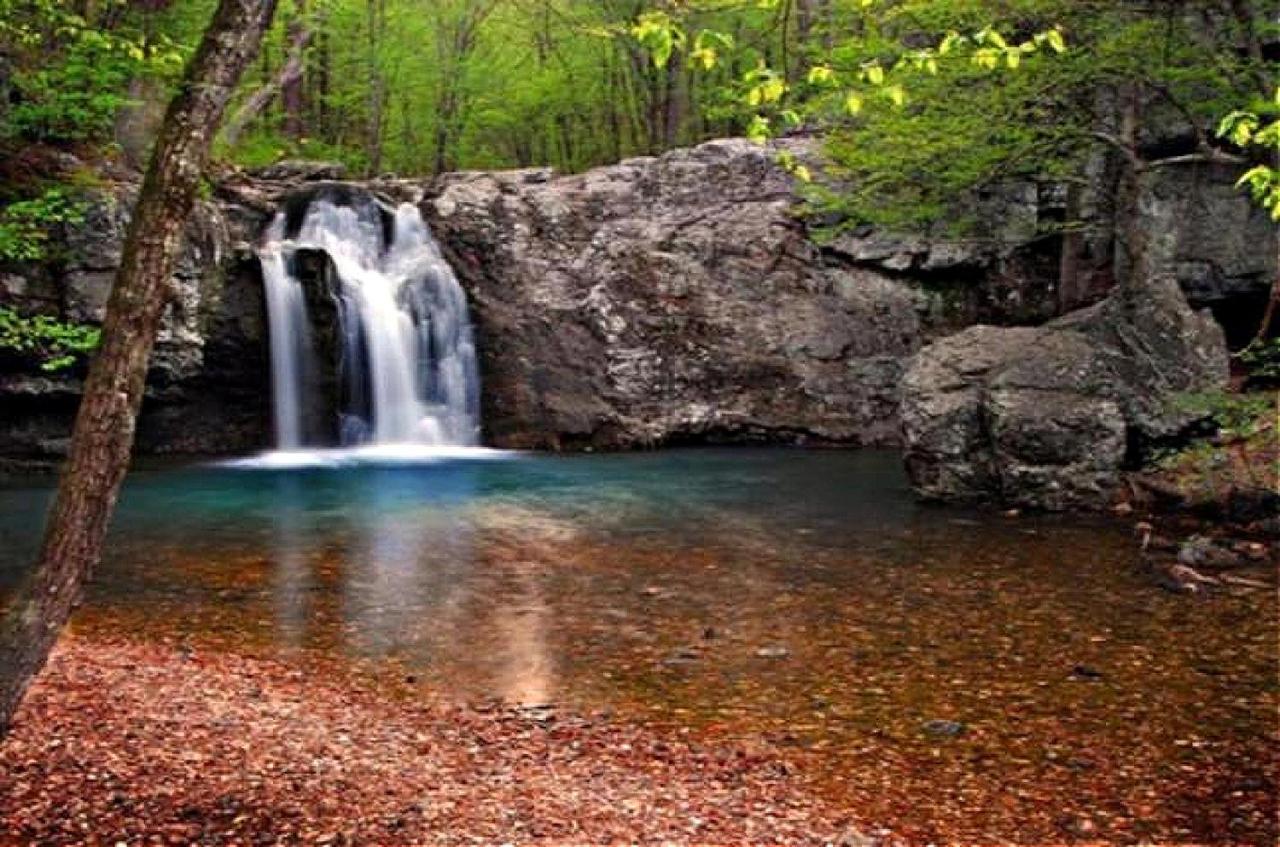 Secluded Home With Mini Waterfall And A Creek In Hot Springs Esterno foto